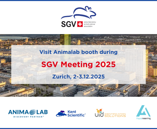 SGV 2025 meeting EN S (1).png